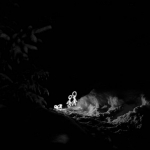 Noir, blanche neige
